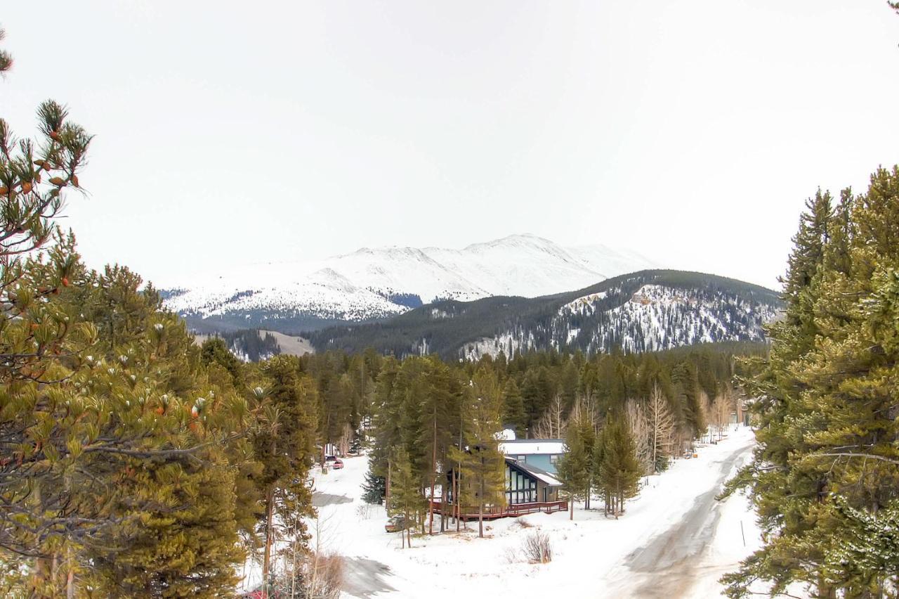 Mark IX #8 - Close To Town - Free Shuttle Breckenridge Extérieur photo